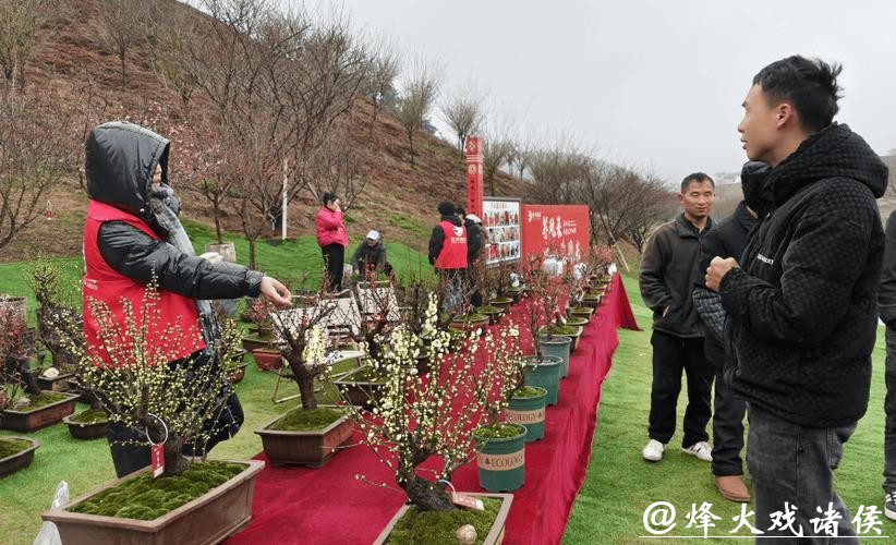 贵州梅园开园迎客